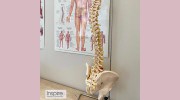 Inspire Chiropractic: Ariana Brosco Coletti, DC