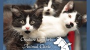 Creature Comforts Animal Clinic
