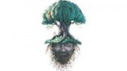 Arbor Art Tree Service