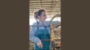 North Tama Veterinary Clinic