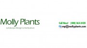 Molly Plants
