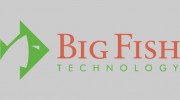 Big Fish Technology