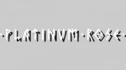 Platinum Rose Studio & Gallery