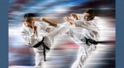 Tenafly Shukokai Karate