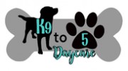K9-5 Daycare