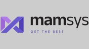 Mamsys Consulting Service
