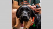 Bay Ridge Animal Hospital