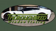 Thoroughbred Window Tinting