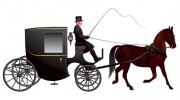 Coach Limo Service