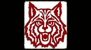 Wildcat Automotive