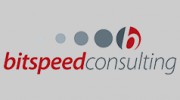 Bitspeed Consulting