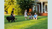 Lawn & Pest Solutions