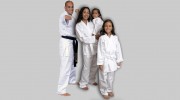 Just For Kicks The Martial Arts University