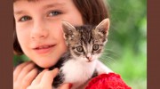 Community Animal Hospital