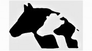 Plymouth Animal Hospital