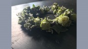 CROFT Flowers