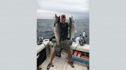 Deep V Sportfishing Charters