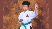 Ed Rose's Tiger Rock Martial Arts