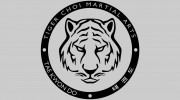 Tiger Choi Martial Arts