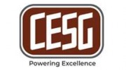 Critical Electric Systems Group