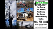 McAbee Tree Care