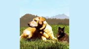 Fantastic Dog & Cat Sitting
