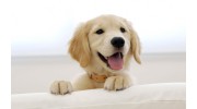 Paw Sweet Paw