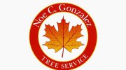 Noe C Gonzalez Tree Service