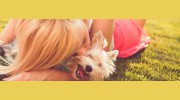 Healthy Hounds Canine & Feline Nutrition