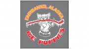 Arctic Lions Hockey