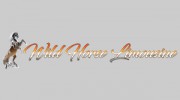 Wild Horse Limousine