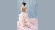 Lily Tapia Photography