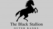The Black Stallion 24 Bedroom 32 Bathroom Vacation Home