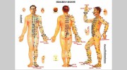 Ancient Peony Acupuncture