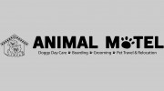 Animal Motel