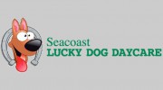 Seacoast Lucky Dog Daycare