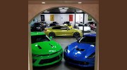Tampa Bay Auto Network