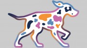 See Spot Run