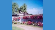 Galletta's Greenhouse