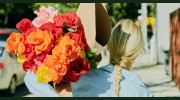 Proflowers.com