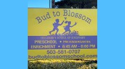 Bud To Blossom Children's School Of Discovery