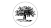 Shade Tree