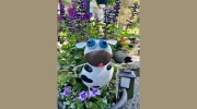 Down Home Garden Center