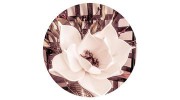 Patchwork Plus-Crafts