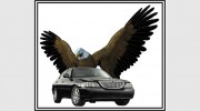 Eagle Airport Transportation
