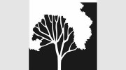 American Arbor Care