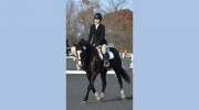 Urbana Riding Club