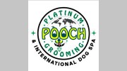 Platinum Pooch Grooming