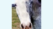 Deer Antler Equestrian Center