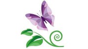 Shannon's Serendipity Skincare